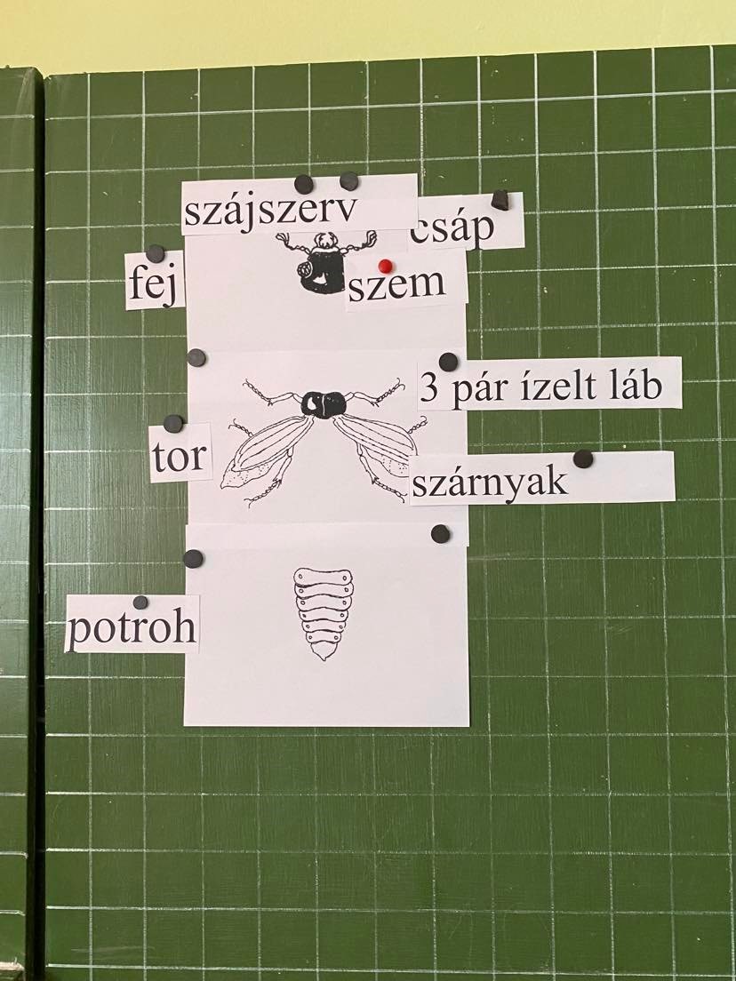 Melléklet 1.