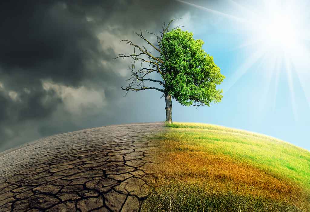 Environmental Pollution