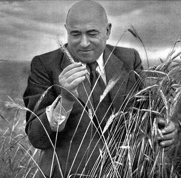 Rákosi-korszak