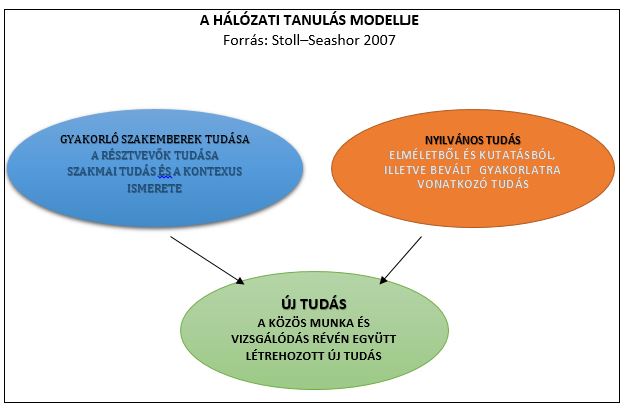 A hálózati tanulás modellje