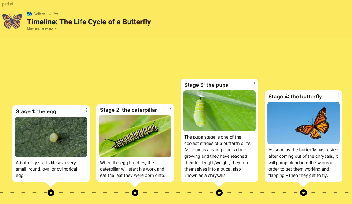 butterfly timeline