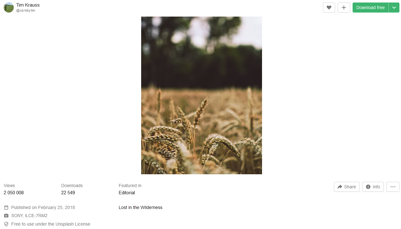 unsplash kép