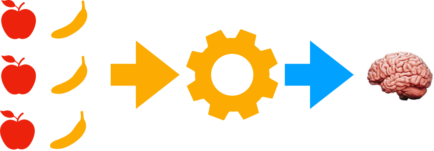 A flowchart of input data, a learning algorithm and a model