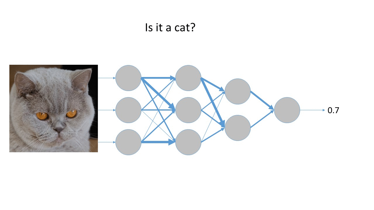 The animation's opening frame: a neural network processing a cat's image, with a prediction of 0.7 at the output.