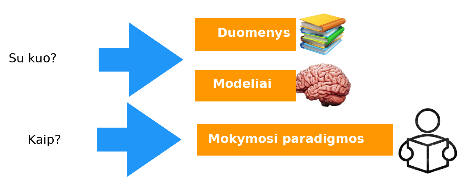 Trys mašininio mokymosi sudedamosios dalys: duomenys, modelis ir mokymosi paradigma