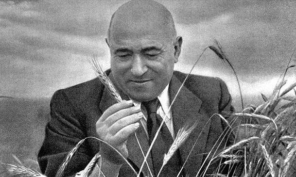Rákosi-korszak